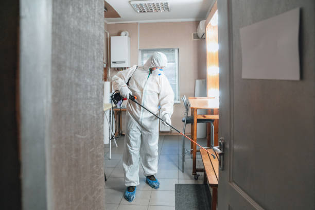 Best Residential Mold Inspection & Testing  in Tton, IL